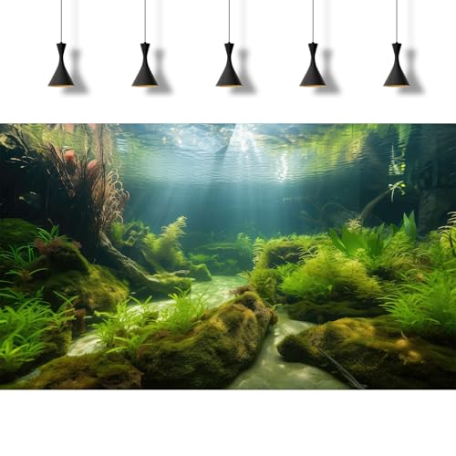 Undewater Floor Aquarium Background Ocean Seabed Rock Stone Cave Fish Tank Background Deep Sea Green Aquatic Plants with Sunbeams Terrarium Reptile Tank Enclosure Backgrounds Wallpaper 48x20in - size: 48(W)x20(H)inches/ 120(W)*50cm(H)