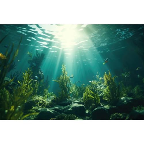 Aquarium Background Underwater Aquatic Plants Rocks Fish Tank Background Tropical Fish Sun Rays Landscapes Terrarium Backgrounds Undersea Rocks Green Seaweeds Reptile Tank Backgrounds Poster 24x12in - color: Green, size: 24(W)x12(H)in