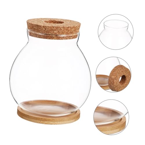 VICASKY Small Glass Fish Bowl with Lid and Mat, 10x11cm Hydroponic Mini Betta Fish Tank, Compact Terrarium Jar for Desktop Aquarium and Home Decor