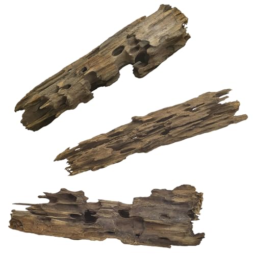 Natural Driftwood for Aquarium Large Reptile Terrarium Decor Decorations Assorted Branches Dearded Dragon Tank Accessories (Slim Style: 7.87-11.8 inches/3 Pack)