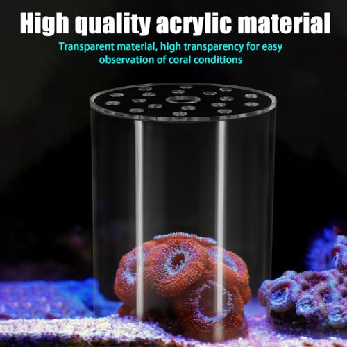 DONGKER Coral Feeder Cover, Transparent Acrylic Coral Breeding Protection Cover Avoid Food Floating Around for Aquarium Fish Tank(80mm,100mm,120mm) - size: CFC-80