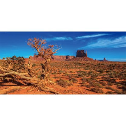 AWERT 48x24 inches Blue Sky Oasis Cactus Sun and Desert Terrarium Background Orange Reptile Habitat Background