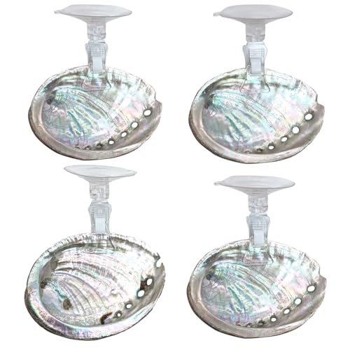 VCEPJH Betta Hammock with Suction Cups Betta Resting Spot 4 Pcs Fish Tank Accessories Decorations Shell Bed Toys for Aquarium Small Fish Natural Spawning Grounds Breeding - color: 4 Pcs Oysters