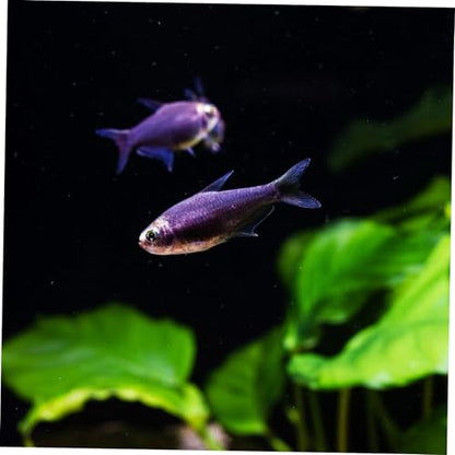 Mikikit Aquarium Background: Self-Adhesive Fish Tank Background Sticker Aquarium Wallpaper Backdrop Roll for Underwater Scenery Fish Tank Decor