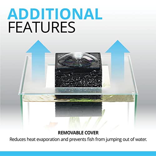 Fluval Chi II Series Aquarium Set, 5-Gallon - Aquarium Tank with Ambient LED Lighting, Flowing Water, and Elegant Design, White
