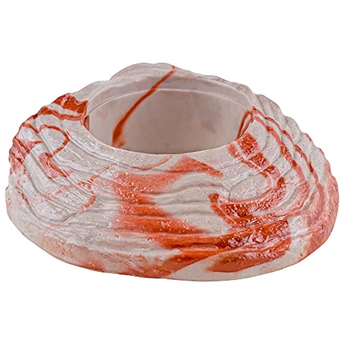 Stepping Stone Feeding Dish - Bearded Dragon Tank Accessories, Turtle Tank Accessories - Large Size