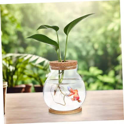 Generic Desktop Glass Fish Bowl Aquarium with Base Hydroponic Terrarium for Betta Fish and Plants with Mat Decorative Desktop and Shelf Use