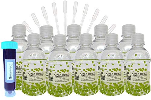 Algae Research and Supply: Algae Beads (Algae Beads Research Kit: 2,000 Beads, Indicator (50mL), pipettes)