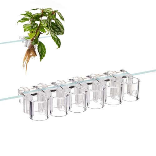 DONGKER Aquarium Plant Holder,6 PCS Reusable Fish Tank Hanging Plant Cups for 0.39"/0.3"-0.6" Aquarium Tank Glass Thickness - color: M