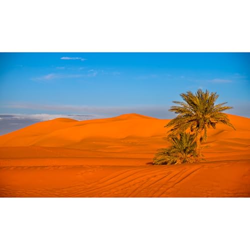 Desert Reptile Tank Background Majestic Sunset Desert Landscape Terrarium Background Desert Palm Tree Sand Dunes Reptile Habitat Background Sunrise Sahara Desert Aquarium Fish Tank Background 36x24in - size: 36(W)x24(H)inches/ 90(W)*60cm(H)