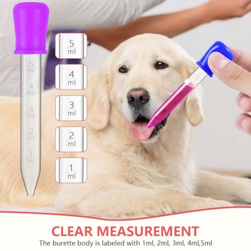 10 Pack 5ML Liquid Dropper Pipettes with Silicone Bulb Tip Clear Medicine Eye Droppers with Brush Essential Oil Transfer for Kids Kitchen Crafts Science Experiments Makeup Tool Gummy Bear