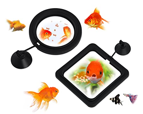 Fish Feeding Ring 2 Pieces Aquarium and Tank Floating Rings Food Feeders with Suction Cup(Black)