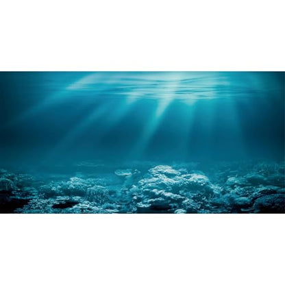 AWERT 60x24 inches Undersea Theme Aquarium Background Sunshine Underwater World Fish Tank Background Viny - size: 60x24in/150x60cm
