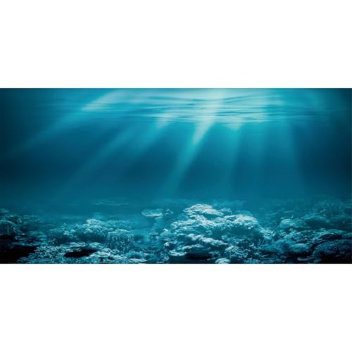 AWERT 24x16 inches Undersea Theme Aquarium Background Sunshine Underwater World Fish Tank Background Vinyl - size: 24x16in/60x40cm