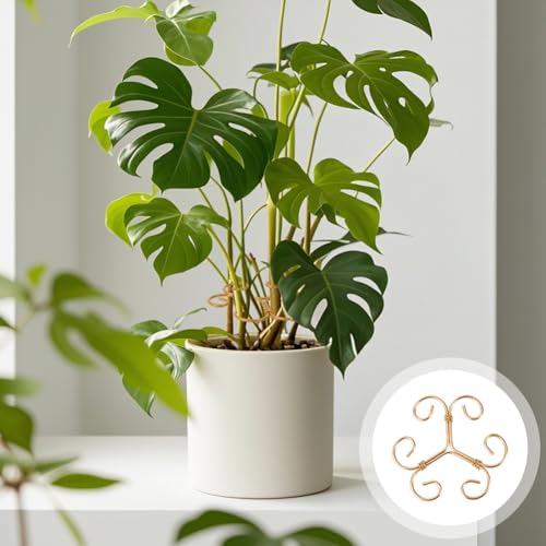 4 Pack Monstera Plant Stem Supports, Metal Garden Support for Climbing Plants, Iron Stem Holder for Monstera, Pothos, Vine – Indoor Plant Climbing for Home Garden - size: B