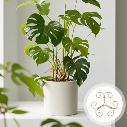 4 Pack Monstera Plant Stem Supports, Metal Garden Support for Climbing Plants, Iron Stem Holder for Monstera, Pothos, Vine – Indoor Plant Climbing for Home Garden - size: B