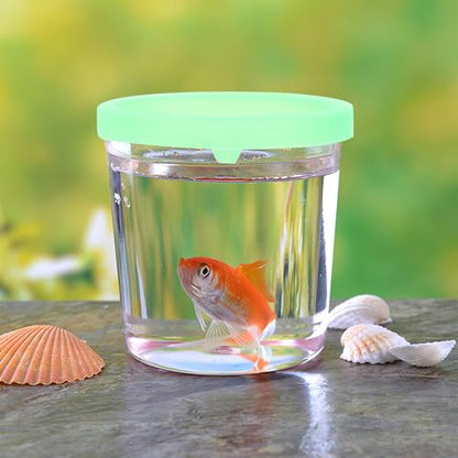 LALAFINA 12pcs Plastic Betta Fish Cups with Lids, Jellyfish Cup Hatching Container Versatile Flower Arrangement Fish Farming Bowl, Random Color