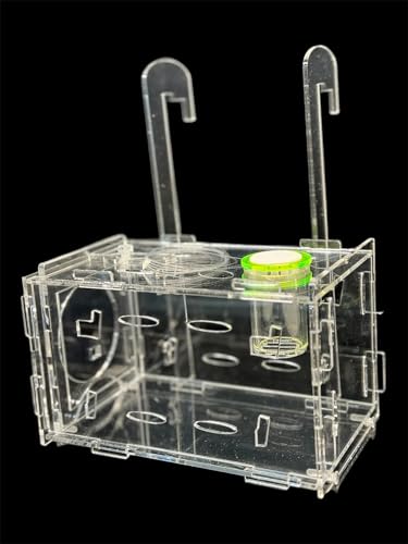 Medium Fish Trap for Aquariums/Acclimation Box