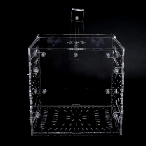 Fish Isolation Breeding Box Acrylic Incubator Floating Aquarium Hatchery Breeding and Parenting Box for Fish Aquarium(15CM*15CM*15CM)