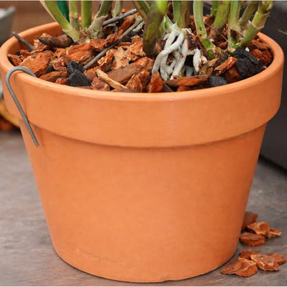Galvanized Rhizome Clip for Clay Pot 6 inch 25 Pack - size: 6 Inch