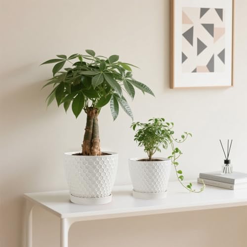 2 Pack of 5.2 Inch White Ceramic Plant Saucer,Indoor & Outdoor Universal Drainage Tray,Durable & Thick Glazed Pot Base Water Tray