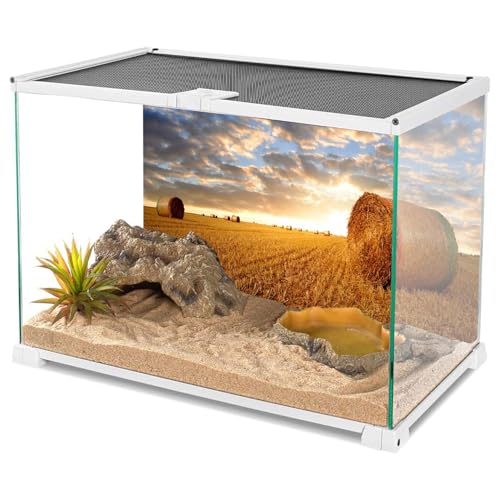 AWERT 36x18 inchesReptile Habitat Background Blue Sky White Clouds Sunset Grass Stacks and Wheat Fields Fish Tank Climbing Pet Background Nature Art Terrarium Background