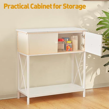 20-29 Gallon Aquarium Stand with Cabinet, 20 Gallon Long Fish Tank Stand with 31''L * 12''W Tabletop, Double Heavy Metal Stand with Stable Structure, Adjustable Table Feet - White - color: White 20-29Gallon, size: 20-29Gallon