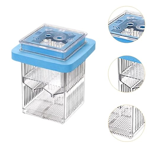 Gupy Breeder Box Acclimation Case Reconcilable Aquarium Delivers Fishing Tank Parts Fish Tank Breeder for Home Use, Blue - color: Blue