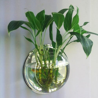Wall Fish Bowl Wall Fish Bubble Hanging Clear Acrylic Betta Fish for Tank Wall Mounted Aquarium Wall Plant Planter Aquariums Tanks