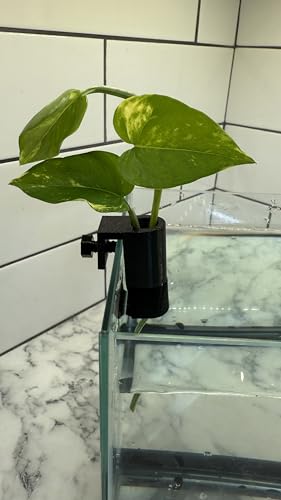 Aquarium Plant Holder for Standard Rimless Fish Tanks The Mini Tube 3D Printed - Pothos Holder - Stemmed Plant Holder -Aquascaping & Aquarium Tool Holder
