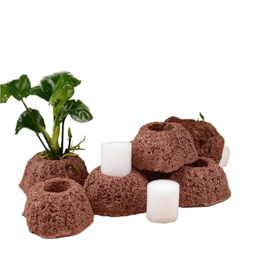 40pcs Aquatic Water Plant Fixed Rings Landscape Ceramic Pottery Pot Gravity Ring for Fish Tank Decoration