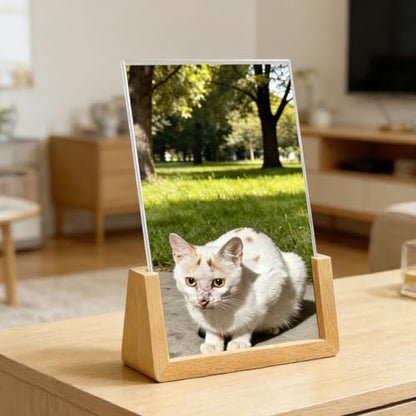 U-shaped Acrylic Sign Holder with Wood Base Menu Holder Flyer Holder Poster Stand Photo Stand Widened Base Windproof, Can Be Used Outdoors (8.5*11) - size: 8.5*11