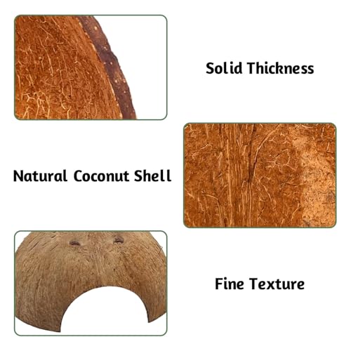6 PCS Natural Coconut Reptile Hideouts Lizard Coco Hut Hermit Crab Hut Aquarium Fish Hide Cave Spider Snail Climber Toys - size: 6 PCS Smooth Surface