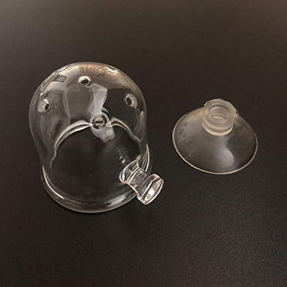 Ailindany Aquarium Glass Feeding Cone Cup Plant Cup Brine Shrimp Live Red Worm Fish Feeder for Aquariums with Suction