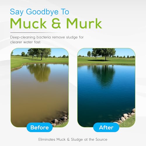 Pond Cleaner & Clarifier - Outdoor Pond Treatment to Remove Muck & Sludge with Natural Pond Bacteria for Clear Water in Outdoor Ponds, Safe for Live Koi Fish & Water Plants - 8lbs, Treats 760k Gallons