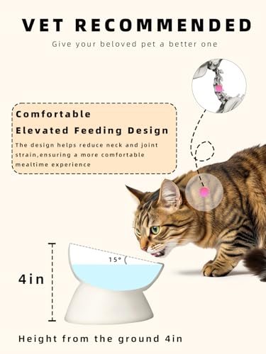 Ceramic Cat Food Bowl, 15°Tilted Raised Cat Food Bowl 5oz (Vintage White)