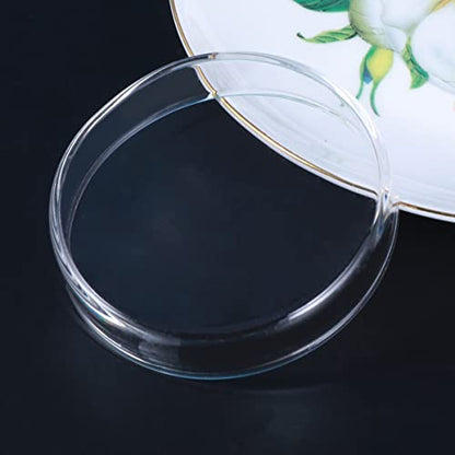 BESPORTBLE 1pc Transparent Glass Shrimp Feeding Bowl Glass Round Dish for Fish and Reptiles Design Aquarium Ornamental Supply