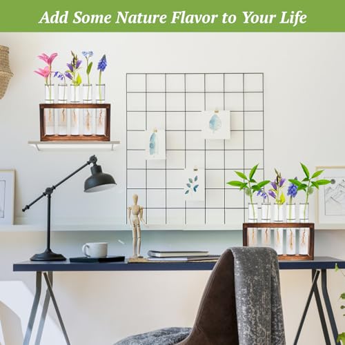 2pcs Desktop Glass Plant Propagation Station with 10 Test Tubes in Wooden Stand - Hydroponic Plants Cutting Office Home Decoration and Garden Decor Terrarium (10 Tubes)