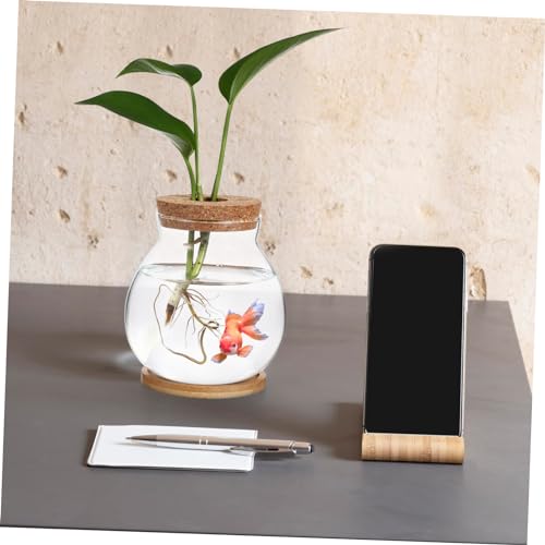 Desktop Glass Fish Bowl with Cushion Hydroponic Terrarium for Betta Fish and Plants Aquarium with Mat for Decor