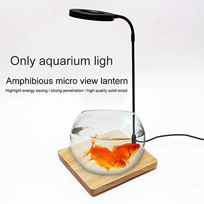 LED Aquarium Light 360 Degree Full Spectrum LED Light with Bamboo Board 10W Nano Fish Tank Light USB Powered Flat Nano Aquarium Light Bett a Fish Tank Light for Plant Growth - size: 10w m / 8.66x9.25inch