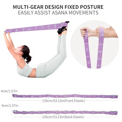 12 Loop Resistance Stretch Band, Numbered Flexibility Strap for Exercise, Physical Therapy, Yoga, Pilates, Dance, Gymnastics and Rehab Training, Adjustable Stretching for Splits, Ballet,Home Workouts - color: Purple