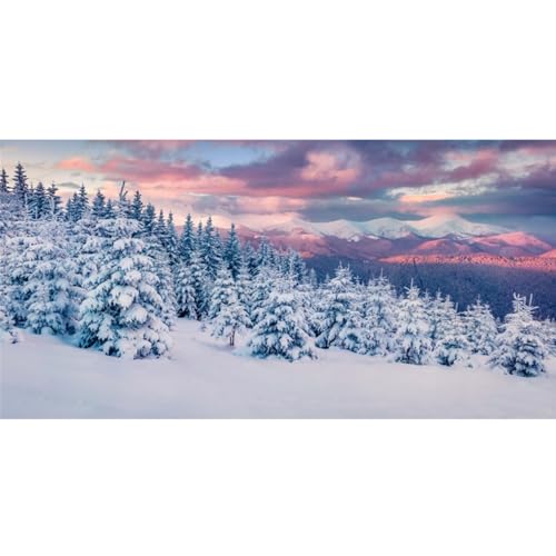 YongFoto Winter Snow Scene Fish Tank Background 24x12 inch Snowfield Pine Forest Rime Sunglow Rosy Clouds Polyester Backdrop Reptile Terrarium Aquarium Bearded Dragon Habitat Background - color: Purple 3, size: 24x12in/60x30cm