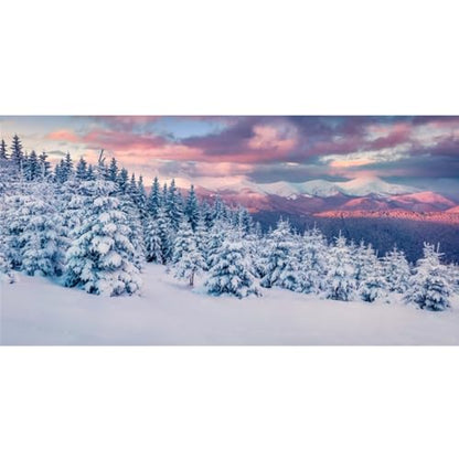 YongFoto Winter Snow Scene Fish Tank Background 24x12 inch Snowfield Pine Forest Rime Sunglow Rosy Clouds Polyester Backdrop Reptile Terrarium Aquarium Bearded Dragon Habitat Background - color: Purple 3, size: 24x12in/60x30cm