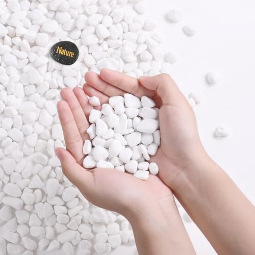 SIDONG 5 LB White River Rocks, 0.3-0.5 Inches Pebbles for Indoor Plants, Aquarium Rocks Used in Fish Tank, Decorative Stones for Plants, Vases, Home Décor, Crafting, Garden Landscaping - color: White, size: 5 Pounds