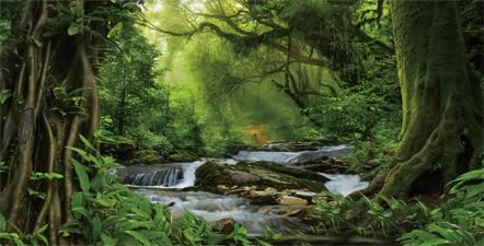 36X18IN Natural Green Forest Tree Stream Reptile Habitat Background Terrarium Background, Tropical Forest Decor Aquarium Background, Misty Rainforest Aquarium Background with 10 EVA Double-Sided Tape - size: 36X18in/90X45cm