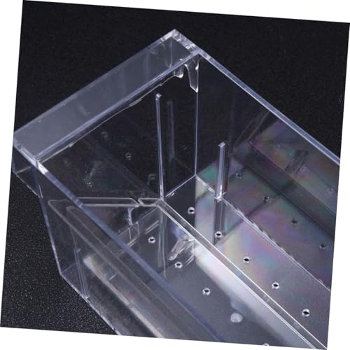 Beaupretty Breeding Box Acrylic Aquarium Fish Isolation Tank Hatching Incubator for Guppy Betta Fry Fish Tank Breeder Suitable for Aquarium