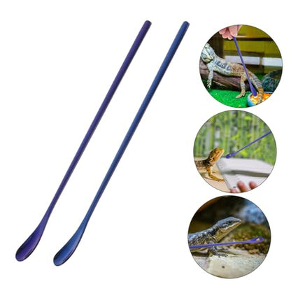 BESPORTBLE 2pcs Stainless Steel Reptile Food Spoon Pet Feeding Tool for Lizards Geckos and Small Animals Design Easy to Use and