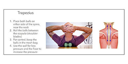 A 3.5" (Magnus) Rollit Therapy Soft Rubber Massage Ball