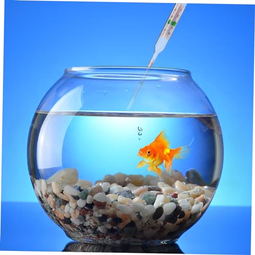 Veemoon 1set Hydrometer Kit for Testing Includes Portable Salinometer and Measuring Cylinder for Accurate Aquarium and Aquaculture Monitoring