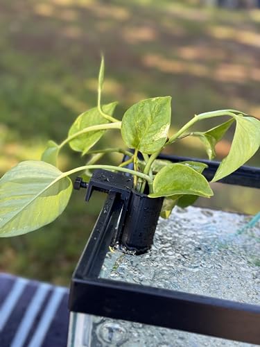 The Tube 3D Printed Aquarium Plant Holder - Pothos & Stemmed Plants - Aquascaping & Fish Tank Tool Holder for 10-200 Gallon Rimmed Tanks